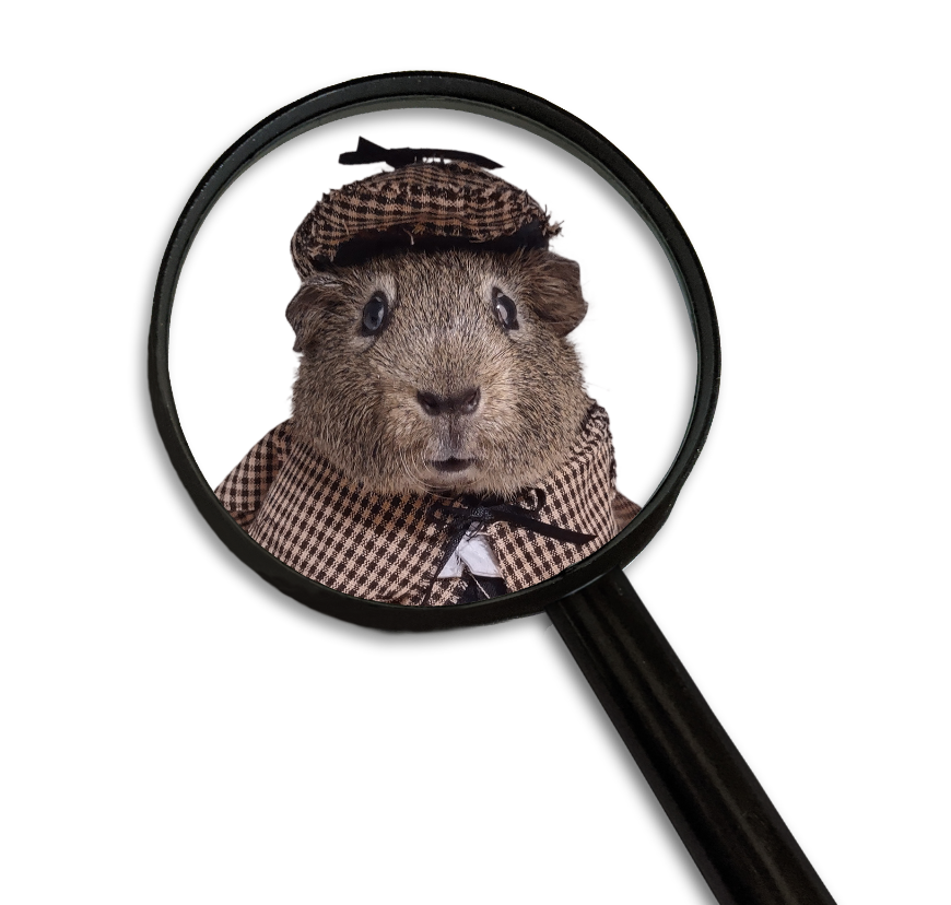 Piggy Magnify Glass