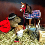 A Case of Foal Play